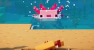 An axolotl splashing around in some water (Image via Mojang)